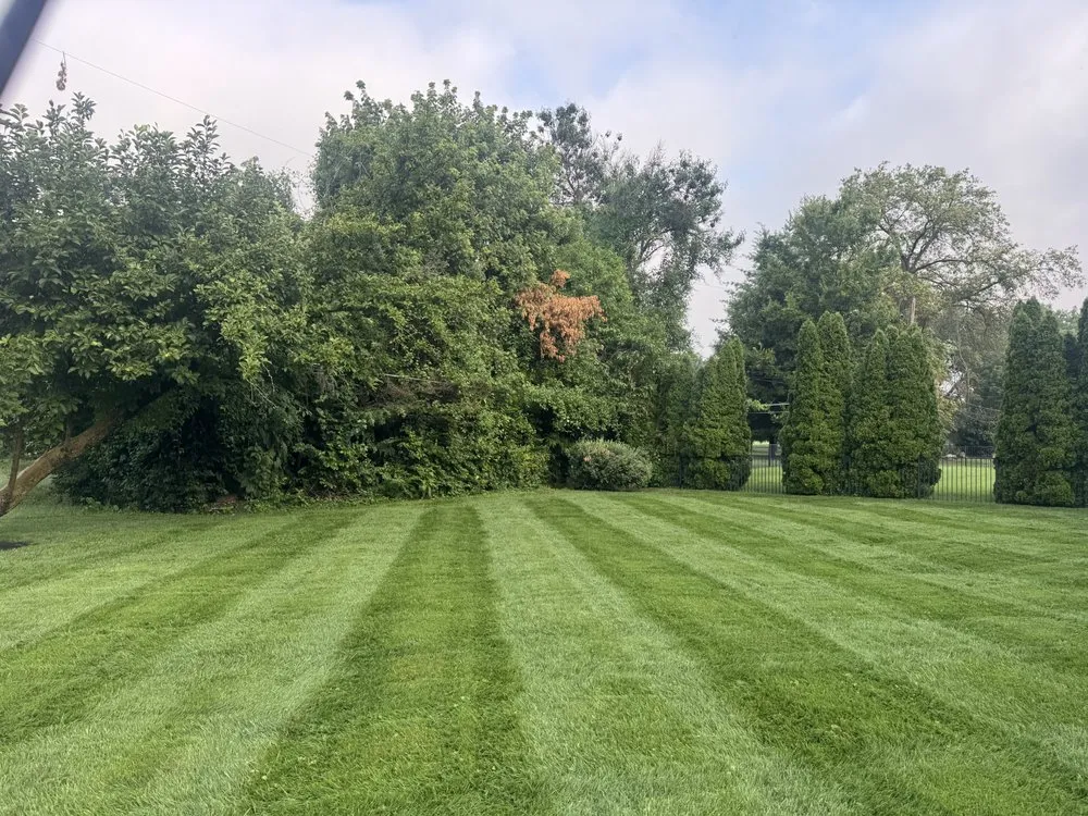 Trusted yard cleanup service for beautiful yards across Ballwin, MO - KC Landscaping
