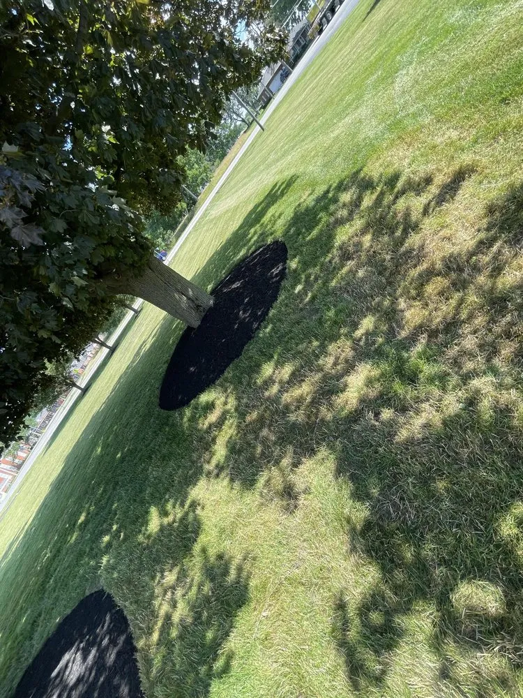 Affordable yard cleanup service for outdoor upgrades across Lorain, OH - K&C Landscaping