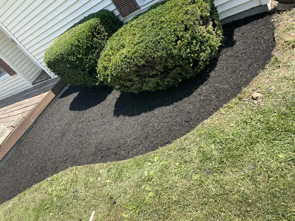 Local yard cleanup service for beautiful yards across Lorain, OH - K&C Landscaping