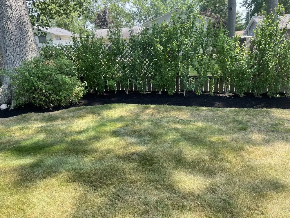 Top-rated landscape design experts serving Lorain, OH - K&C Landscaping