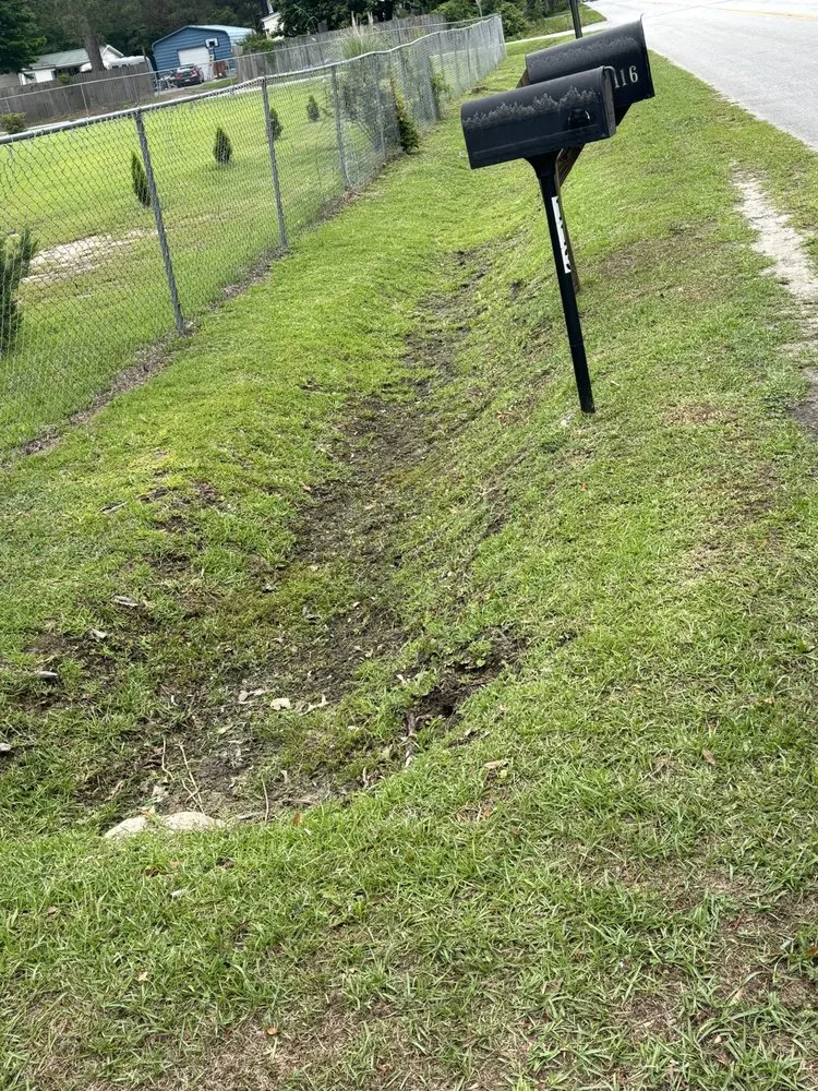 Expert landscape design for outdoor upgrades in Summerville, SC by K&C Landscaping