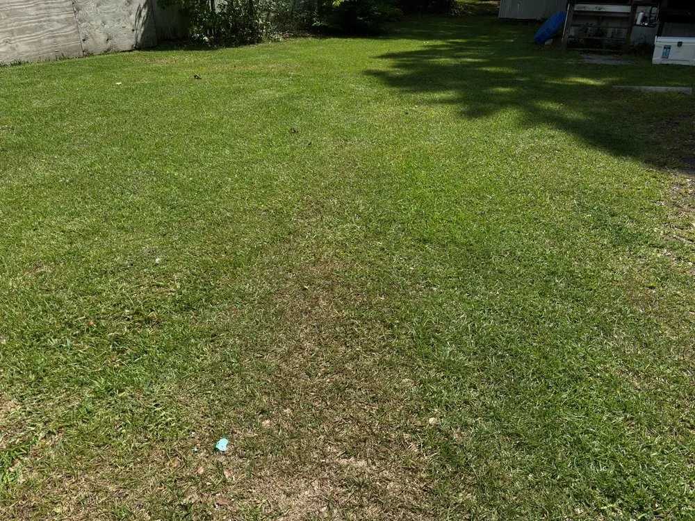 Local landscape installation experts serving Summerville, SC - K&C Landscaping