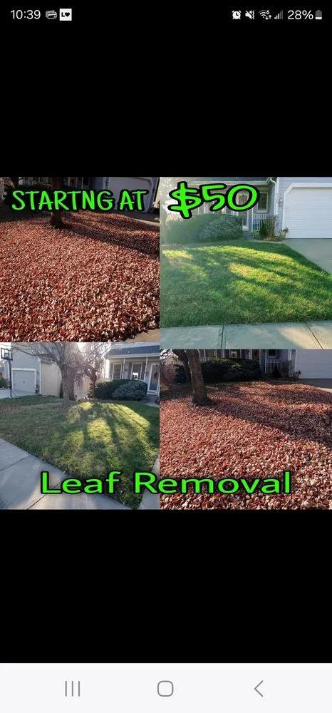 Affordable yard cleanup service in Kansas City, MO - K.C. Lawn and Leaf