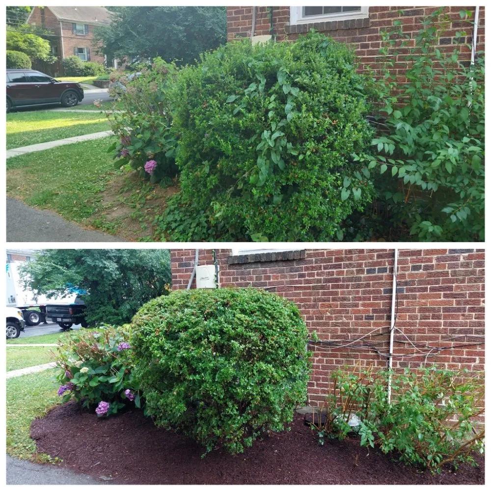 Local garden landscaping for residential properties across Upper Marlboro, MD - KC Lawn Care
