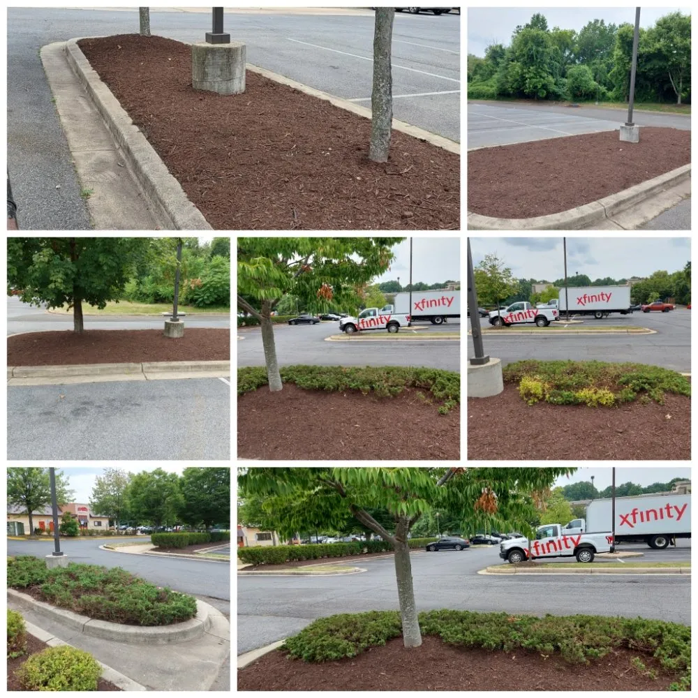 Custom landscape installation in Upper Marlboro, MD by KC Lawn Care