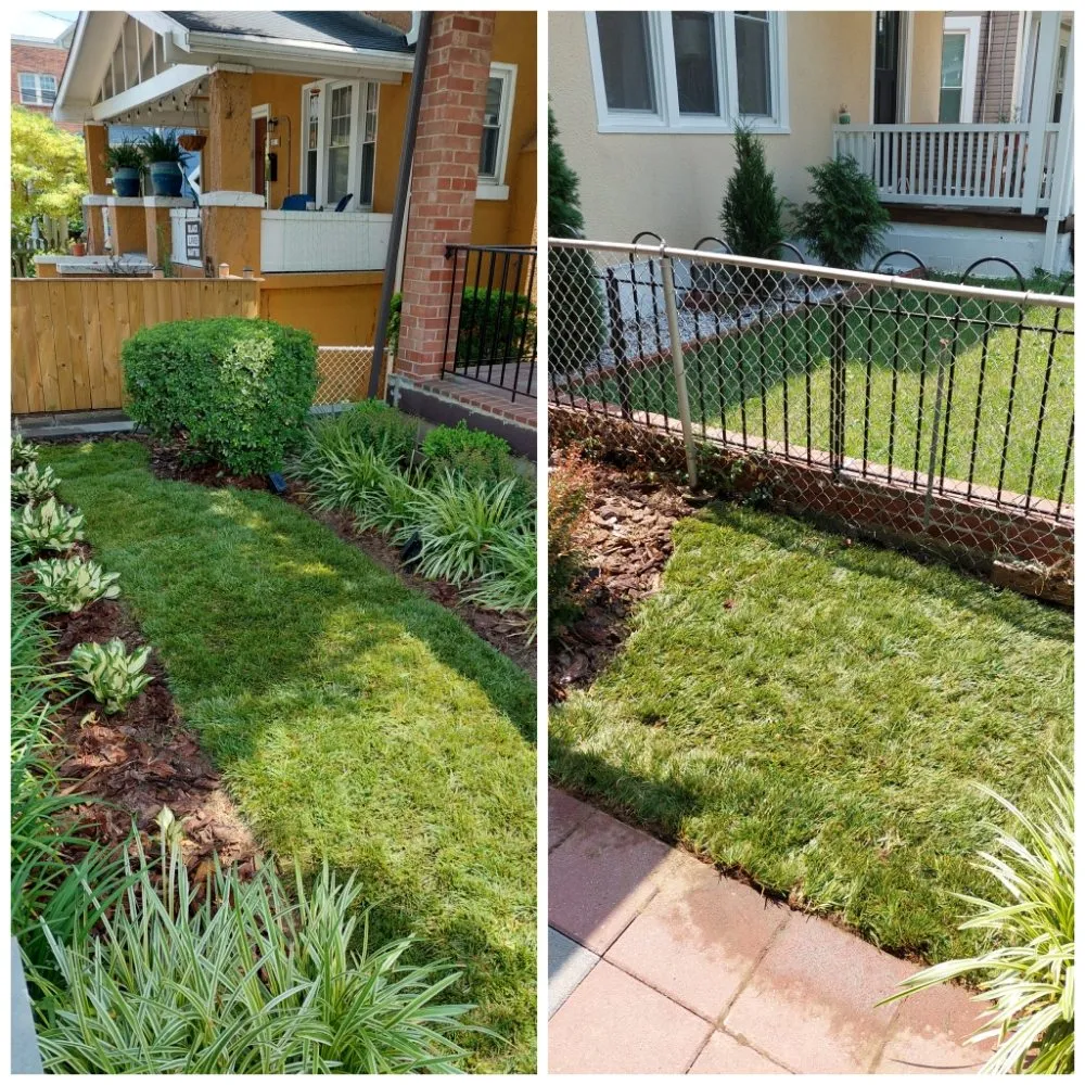 Professional yard cleanup service in Upper Marlboro, MD by KC Lawn Care