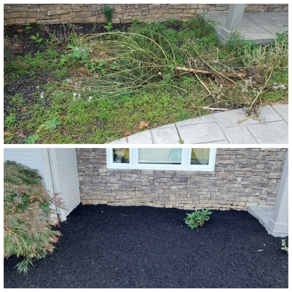 Custom yard cleanup service in Upper Marlboro, MD by KC Lawn Care