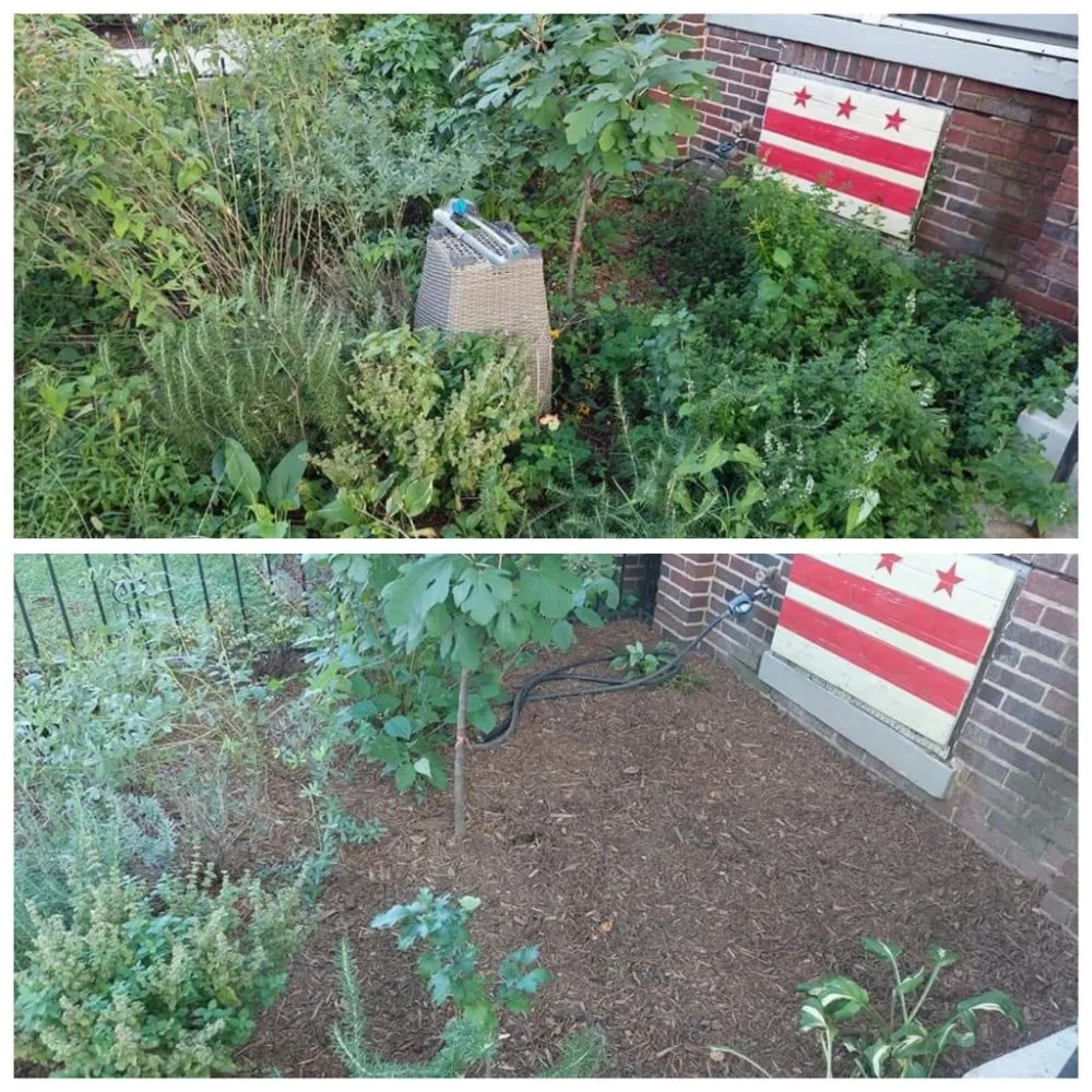 Professional landscaping services in Upper Marlboro, MD - KC Lawn Care