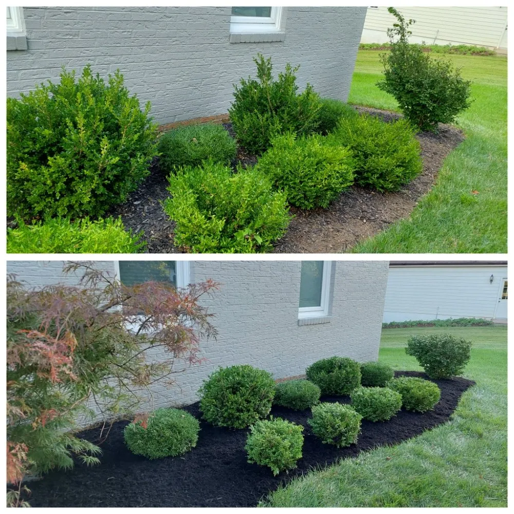Expert landscaping services in Upper Marlboro, MD by KC Lawn Care