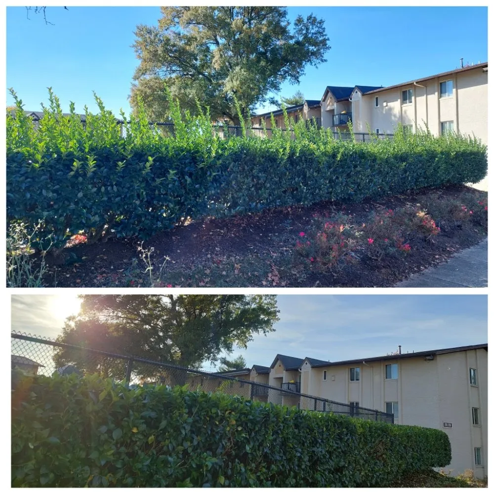 Custom yard maintenance in Upper Marlboro, MD by KC Lawn Care