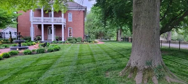 KC Lawn Maintenance & Landscape Design