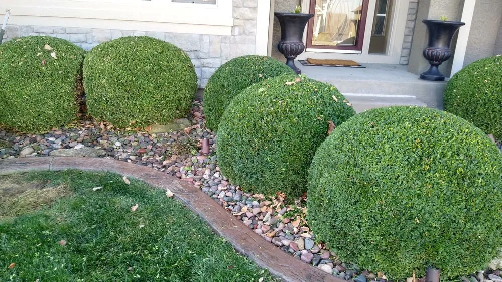 Expert lawn care service for year-round maintenance in Lee's Summit, MO by KC Lawn Pros