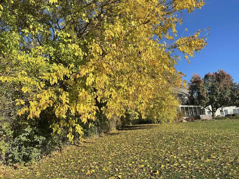 Custom garden landscaping in Fort Wayne, IN by KC Lawn Services