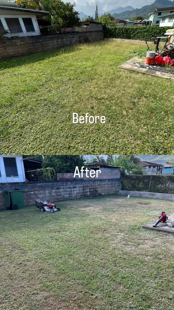 Local lawn care service for residential properties across Honolulu, HI - KC Lawn Services