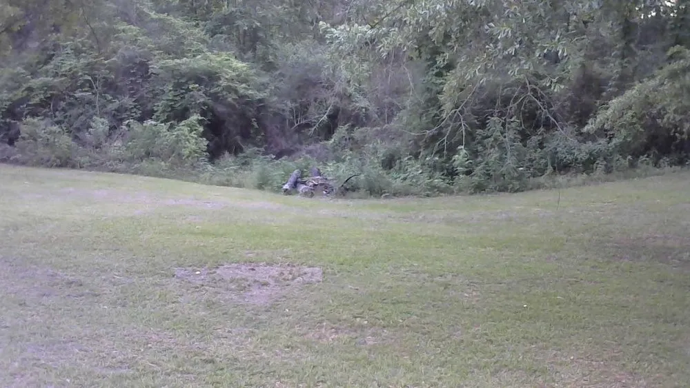 Professional yard maintenance in Taylorsville, MS by K.C. Lawn Services