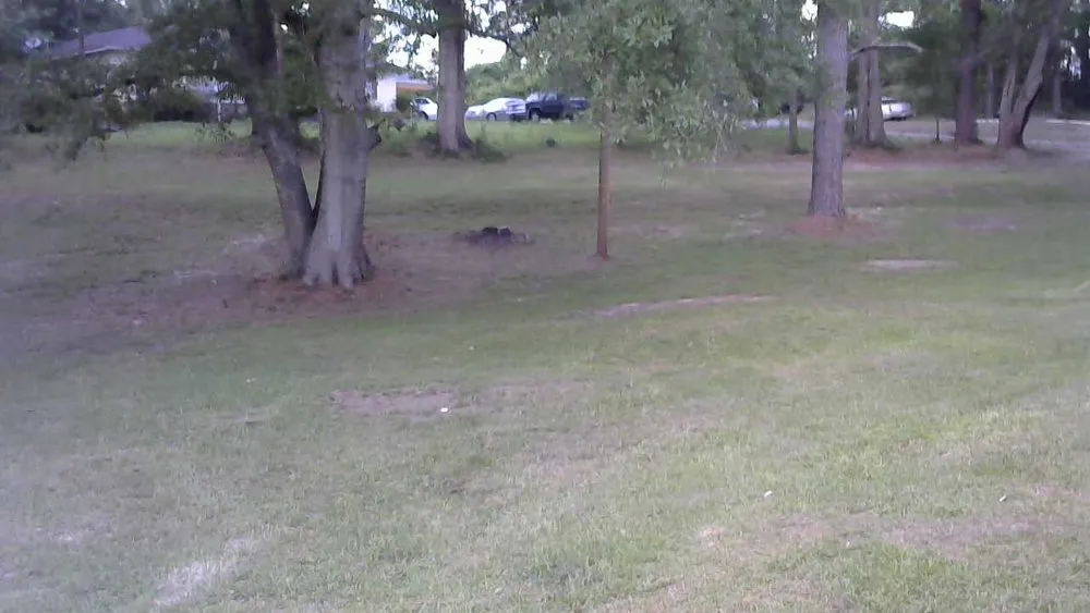 Custom garden landscaping in Taylorsville, MS - K.C. Lawn Services