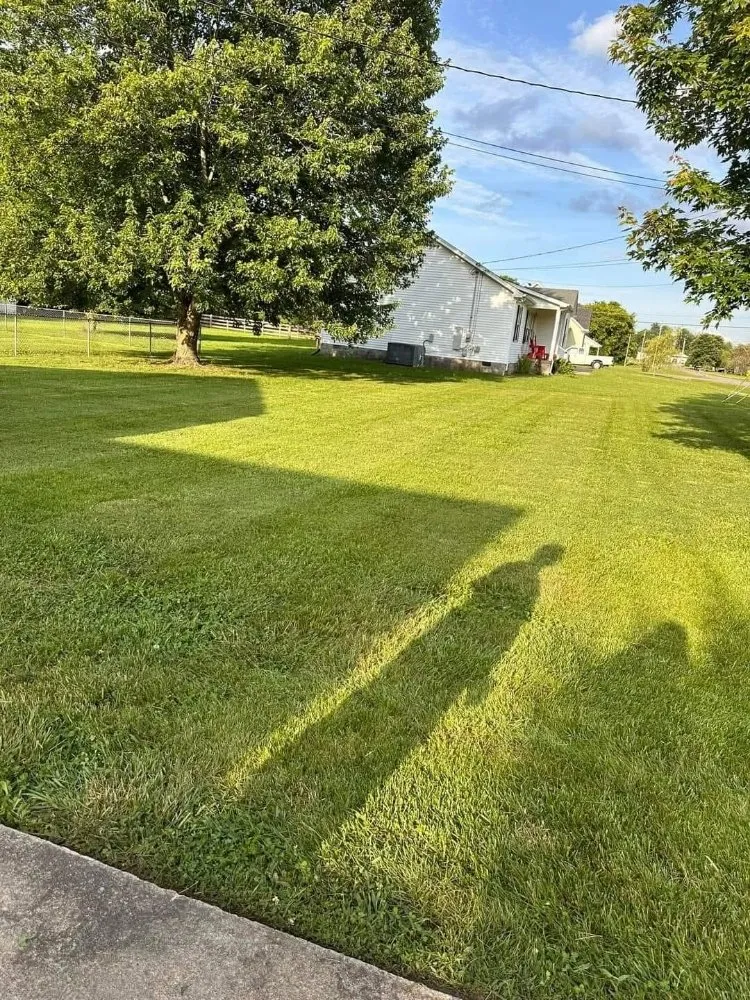 Affordable landscape installation in lewisburg, TN by KC Lawncare & Excavation