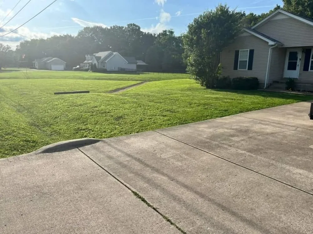 Affordable landscape design in lewisburg, TN - KC Lawncare & Excavation