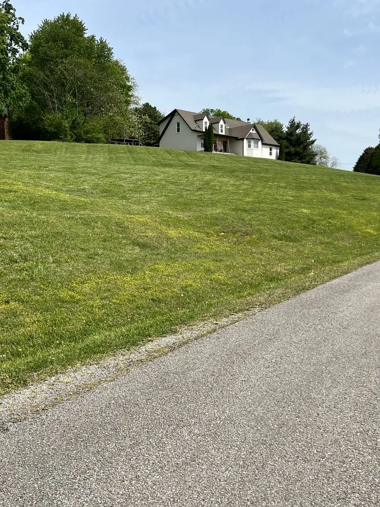 Local yard cleanup service in lewisburg, TN by KC Lawncare & Excavation