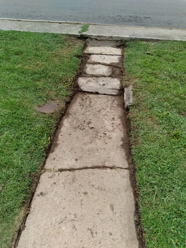 Expert yard cleanup service near you in Eden, NC by K&C Lawncare