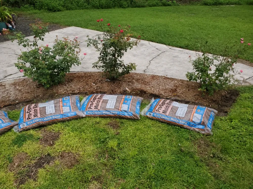 Trusted lawn care service for outdoor upgrades in Live Oak, FL by K&C Mowing Service