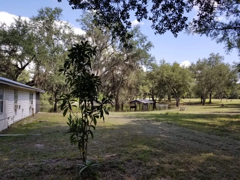 Affordable outdoor landscaping for beautiful yards across Live Oak, FL - K&C Mowing Service