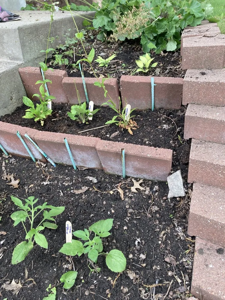 Reliable yard cleanup service in Kansas City, MO by KC Native Landscapes