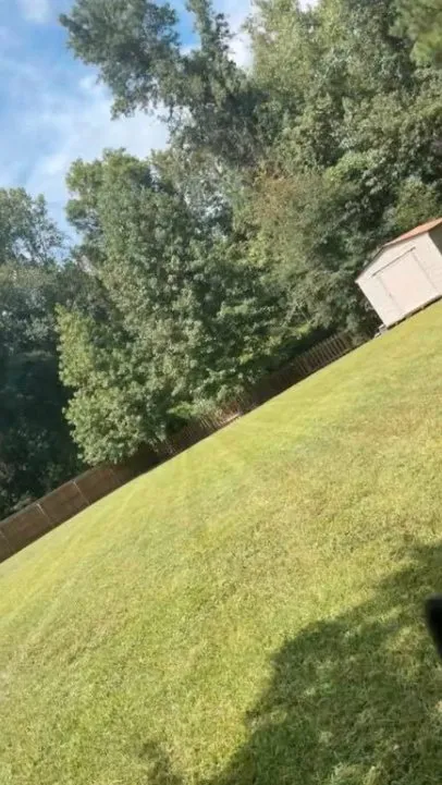 Expert yard maintenance in Midway, GA - K&C Pressure Washing & Lawn Services