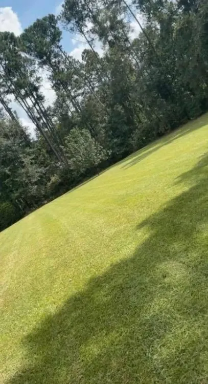 Local landscape design in Midway, GA by K&C Pressure Washing & Lawn Services