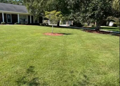 Affordable lawn care service for homes across Midway, GA - K&C Pressure Washing & Lawn Services