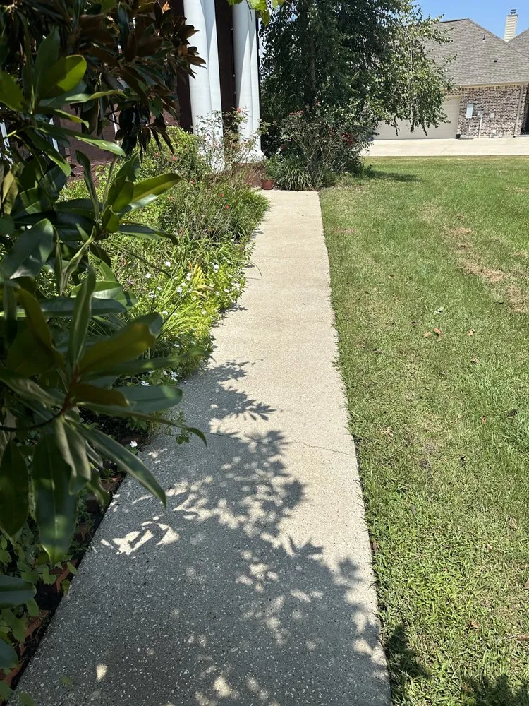 Expert yard cleanup service in Port Neches, TX - K&C Pressure Washing and Lawn Services