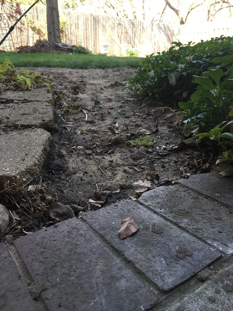 Top-rated lawn mowing service in Des Moines, IA - Kc property care and services