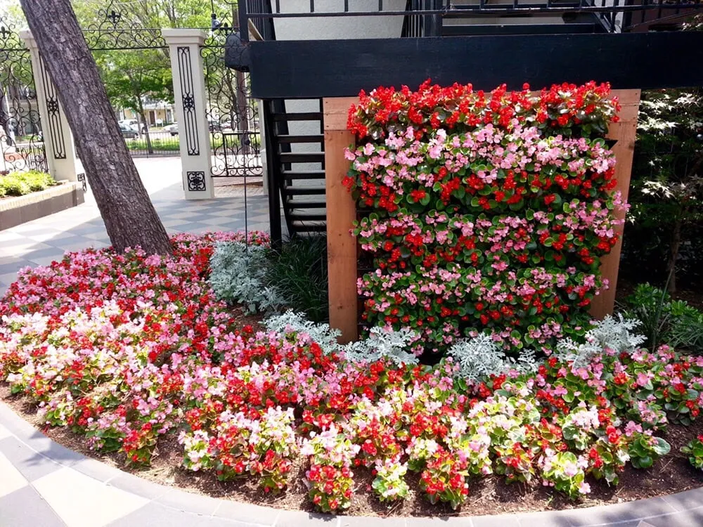 Expert landscape design in Garland, TX by KC Quality Landscaping