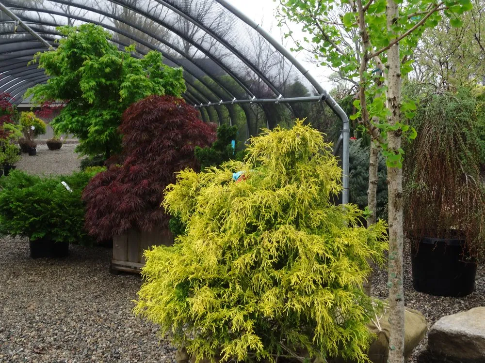 Trusted garden landscaping in Milan, MI by KC Runciman Landscapes