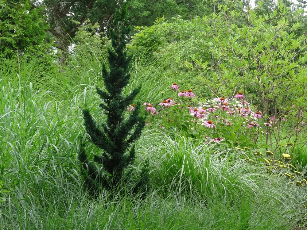 Local garden landscaping in Milan, MI - KC Runciman Landscapes