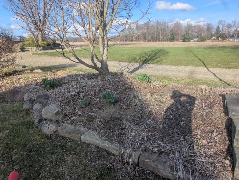Expert residential landscaping in Linesville, PA - K&C Services