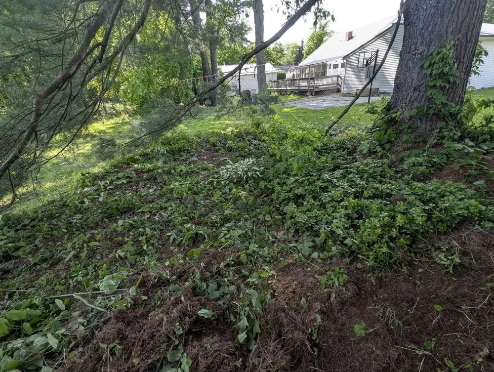 Expert lawn mowing service in Linesville, PA by K&C Services