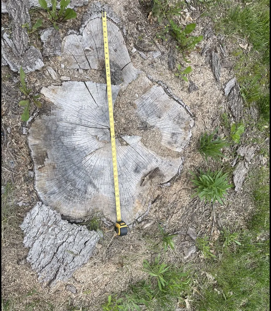 Expert lawn care service with custom design in Kansas City, MO by KC Stump N Grind