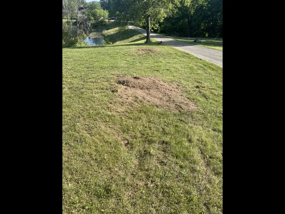 Affordable landscape design in Kansas City, MO by KC Stump N Grind