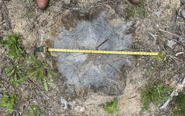 KC Stump N Grind Logo