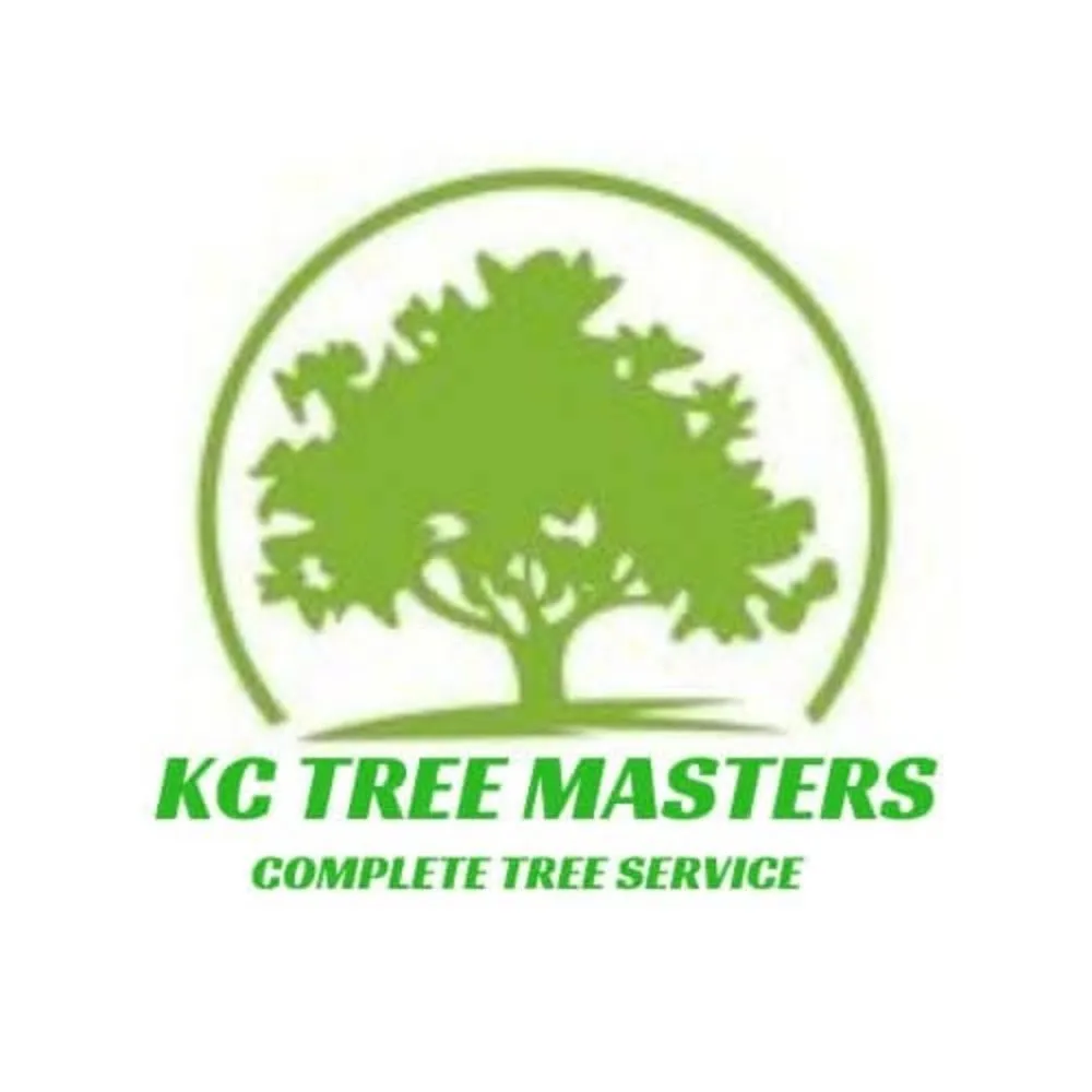 Reliable landscaping services in Lexington, MO - KC Tree Masters