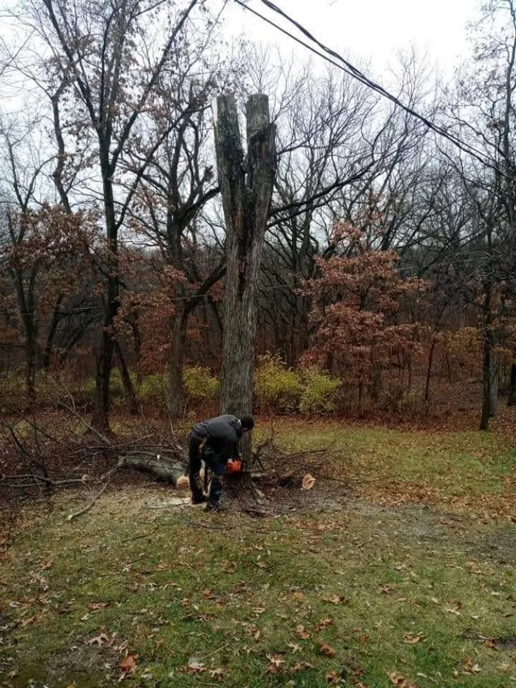 Custom garden landscaping near you across Lexington, MO - KC Tree Masters