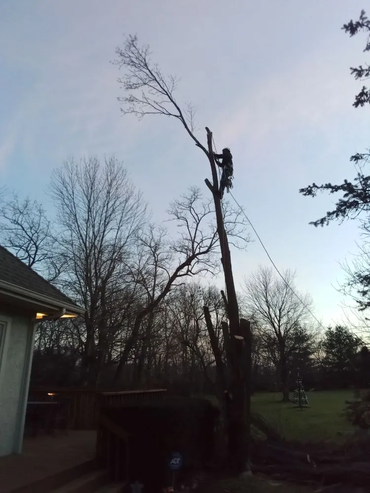 Trusted landscape installation experts serving Lexington, MO - KC Tree Masters