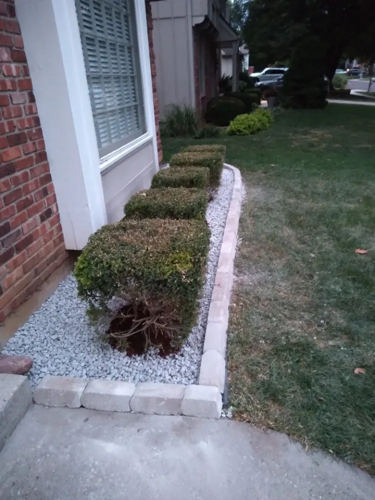 Reliable lawn mowing service in Lexington, MO by KC Tree Masters