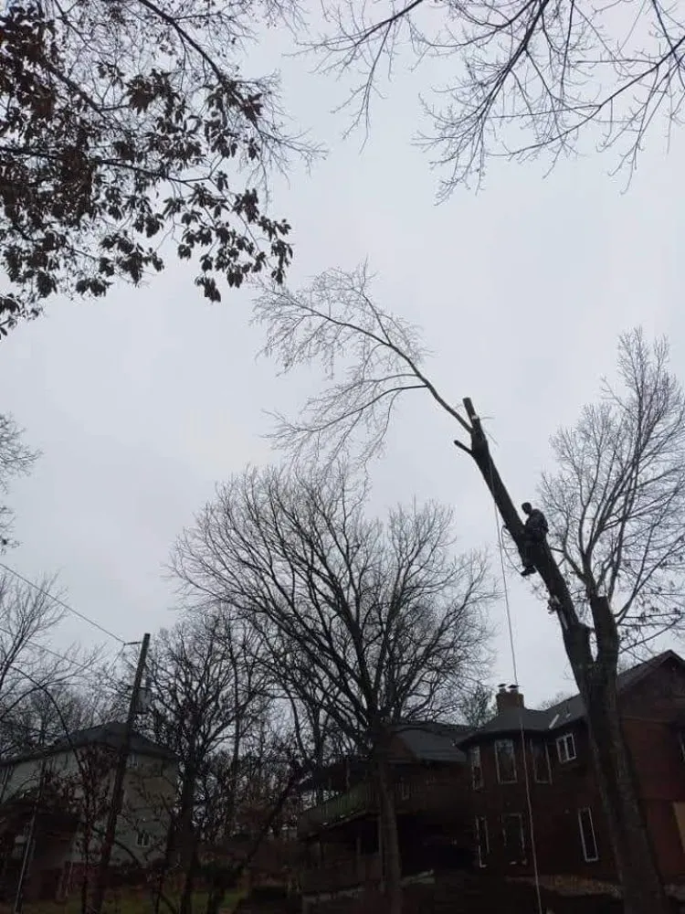 Professional garden landscaping in Lexington, MO - KC Tree Masters