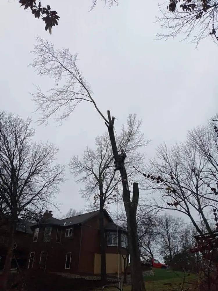 Affordable landscape design with custom design in Lexington, MO by KC Tree Masters