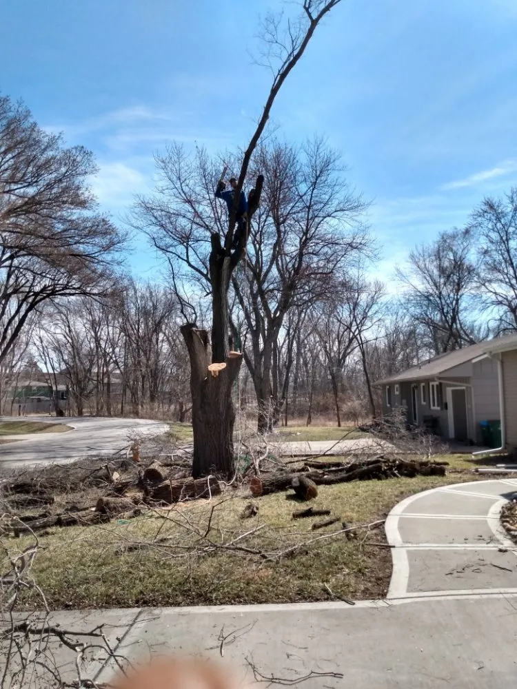 Custom landscaping services experts serving Lexington, MO - KC Tree Masters