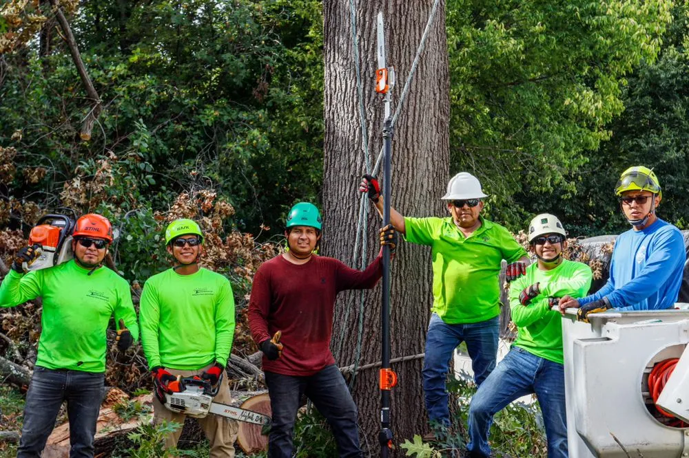 Top-rated landscape installation for year-round maintenance across Kansas City, MO - KC Tree Services