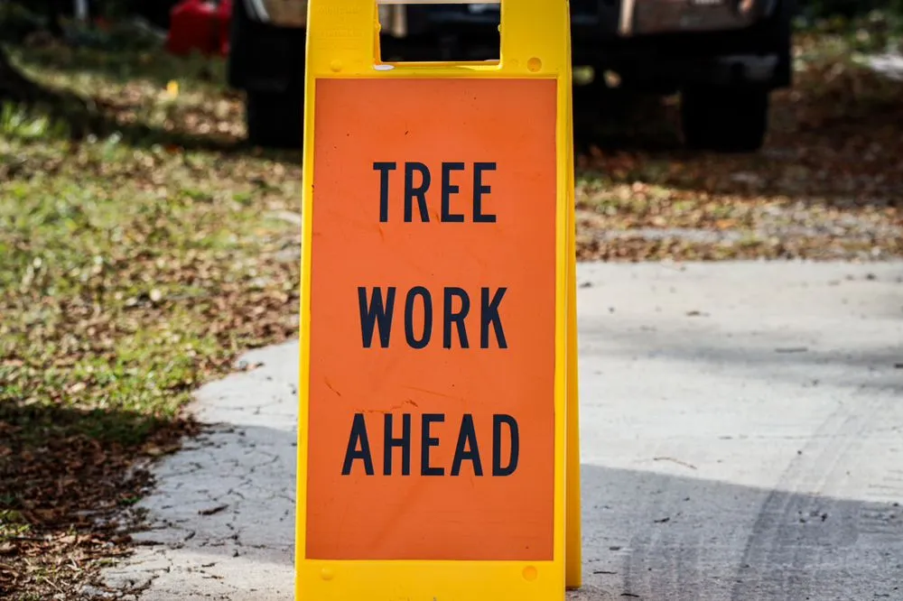 Expert yard cleanup service experts serving Kansas City, MO - KC Tree Services