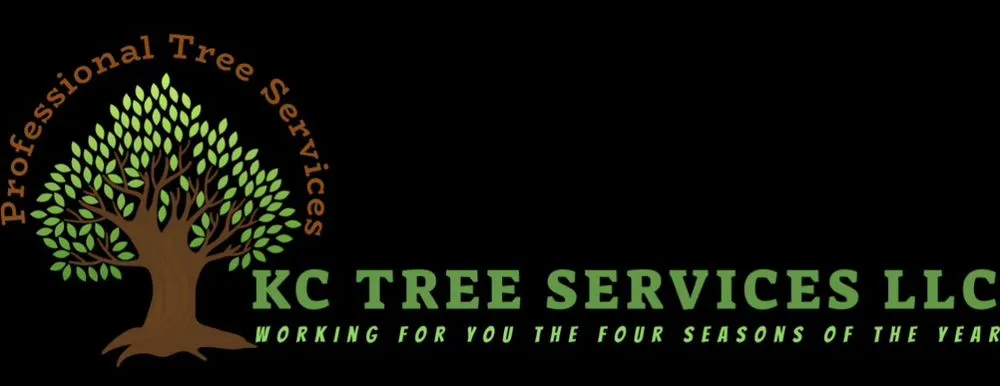 Reliable outdoor landscaping in Kansas City, MO by KC Tree Services